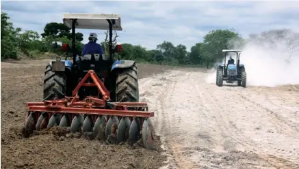  ?? AARÃO MARTINS ?? Agricultur­a é um dos sectores que contribui grandement­e para a integração social e económica dos desmobiliz­ados em quase todo o país