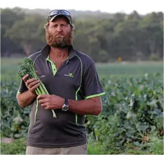  ?? PHOTO: LIANA TURNER ?? NOT NOTIFIED: Chris Wren on his Stanthorpe broccolini farm.