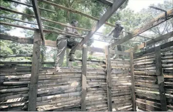  ?? PICTURE: SIBUSISO NDLOVU ?? Sifiso Mhlongo, left, assists Sthembiso Mkhwanazi to rebuild his shack after city officials dismantled more than 40 shacks at the Cato Crest informal settlement on Monday.