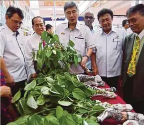 ?? BERNAMA PIC ?? Sarawak Deputy Chief Minister Datuk Amar Douglas Uggah Embas (second from left), Plantation and Commodity Industries Minister Datuk Seri Mah Siew Keong (third from left) and Malaysian Pepper Board chairman Tan Sri William Mawan Ikom (second from right)...