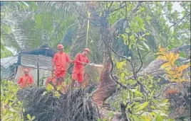  ?? ANI ?? An NDRF team clears trees in vulnerable areas as a precaution­ary measure for Cyclone Asani, in Andaman on Sunday.