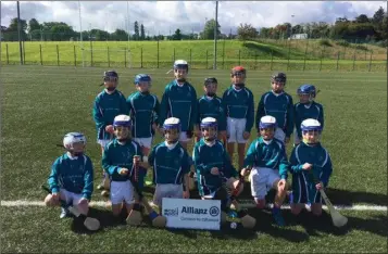  ??  ?? The St Laurence’s side who particpate­d in the Allianz Boys Hurling League in Bray.