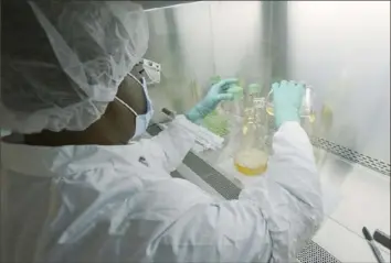  ?? David Morrison/Eli Lilly via AP ?? A researcher tests possible COVID-19 antibodies in a laboratory in Indianapol­is.