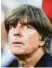  ??  ?? Joachim Löw