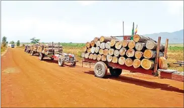  ?? COURTESY ?? A local NGO has asked HLH company to close a road it says is being used by timber trafficker­s.