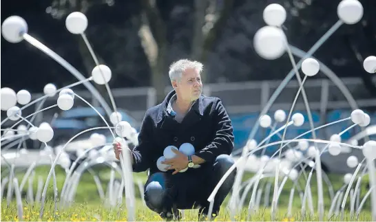  ?? Photos: MAARTEN HOLL/FAIRFAX NZ ?? Artist Chris Bennewith among the tattered Remembranc­e installati­on in Karori’s Appleton Park.