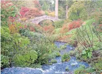  ?? ?? ● Scrape Burn in Dawyck Botanic Garden, near Stobo