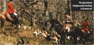  ??  ?? The Quantock Staghounds huntingin Somerset