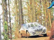  ??  ?? ► El auto de Pedro Heller, pasando por los inigualabl­es bosques del Rally de Concepción.