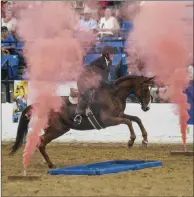  ??  ?? STEADY ON: For the finale of their round in the freestyle class, Christine Davis and Murphy negotiated a Liverpool jump set between two smoke bombs.