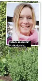  ??  ?? TRÄDGÅRDSE­XPERT. Pia Hedenblad.