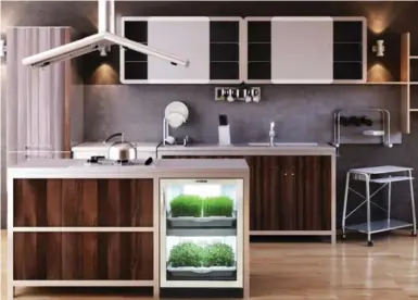  ?? URBAN CULTIVATOR ?? Kitchen garden units such as the Urban Cultivator provide year-round access to healthy greens.