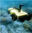  ?? Foto: Great Barrier Reef Foudnation, dpa ?? Dieser Roboter tötet die Seesterne.