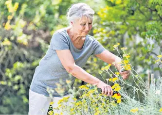  ??  ?? Beta-blockers can make you feel too tired to garden