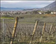  ??  ?? The town of Vo Euganeo is seen beyond a vineyard in northern Italy.