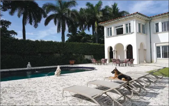  ?? ?? German Shepherd Gunther VI sits by the pool Monday at a house once owned by pop star Madonna in Miami. (AP/Lynne Sladky)