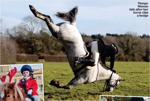  ??  ?? Plunge: Woman falls after her horse clips a hedge