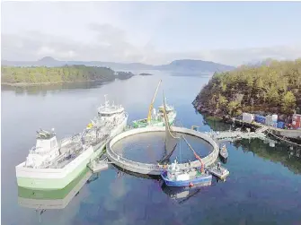  ??  ?? An experiment­al salmon farm in Molnes, Norway.