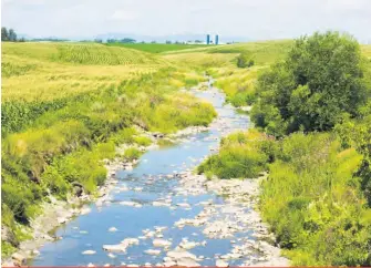  ??  ?? Les agriculteu­rs doivent prendre les devants pour diminuer leurs émissions avant « que le gouverneme­nt nous ponde une loi qui va tout nous bloquer », estime Paul Caplette.