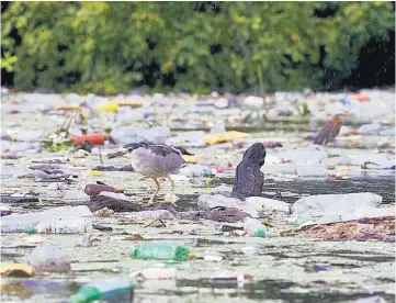  ?? ?? Salud. La contaminac­ión, dijo el CESTA, puede perjudicar la salud de la población.