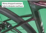  ??  ?? Skinny dropped seatstays help to dissipate road buzz
