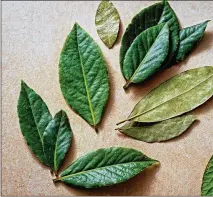  ?? SCOTT SUCHMAN FOR THE WASHINGTON POST ?? Bay leaves stubbornly hold onto their aromatics, so it takes time to coax out their full potential. That’s why it often is featured in longcooked dishes.