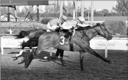  ?? LAUREN KING/COGLIANESE PHOTOS ?? Ride a Comet wins the Grade 3 Tropical Turf on Saturday, his third straight victory since returning from a 26-month layoff.