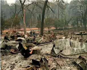  ?? AP ?? A member of the Sacramento County Coroner’s office looks for human remains in the rubble of a house burned in the Camp fire in paradise, California. —