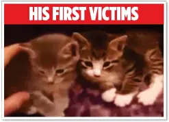  ??  ?? HUNGRY FOR
NOTORIETY: Luka Magnotta, top, posted a video of him killing two kittens before his actions grew more extreme