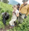  ??  ?? Photo shows tourists Sarah and John Scott from Worcester, England, take a step back as a male silverback mountain gorilla from the family of mountain gorillas named Amahoro, which means 'peace' in the Rwandan language, unexpected­ly steps out from the...