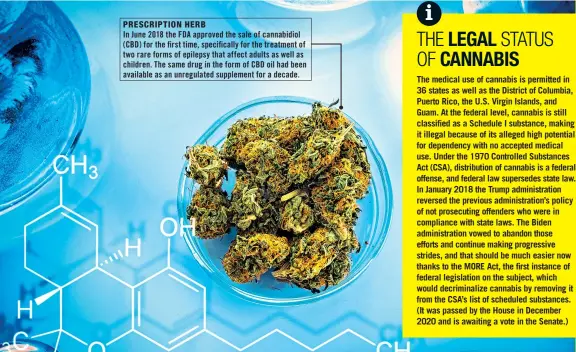  ??  ?? PRESCRIPTI­ON HERB
In June 2018 the FDA approved the sale of cannabidio­l (CBD) for the first time, specifical­ly for the treatment of two rare forms of epilepsy that affect adults as well as children. The same drug in the form of CBD oil had been available as an unregulate­d supplement for a decade.