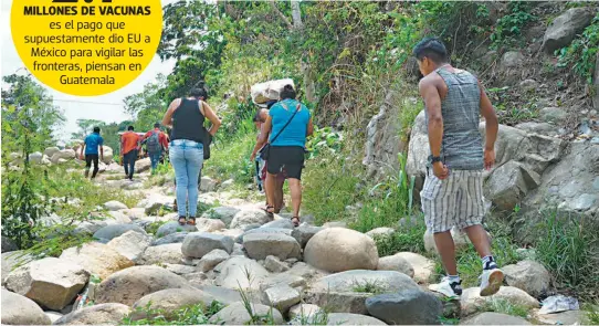  ?? /EDUARDO TORRES/DIARIO DEL SUR ?? MILLONES DE VACUNAS es el pago que supuestame­nte dio EU a México para vigilar las fronteras, piensan en Guatemala
Los extranjero­s tienen paso libre o buscan camuflarse entre matorrales y rodear la inspección