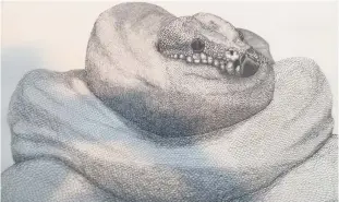  ??  ?? Not a scarf: Michaela Vogt’s intoxicati­ng reptilian portraits.