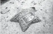  ?? PHOTOS BY WILFREDO LEE/ASSOCIATED PRESS ?? A bronze plaque on a concrete starfish marks the site of the remains of Esther Batterby.