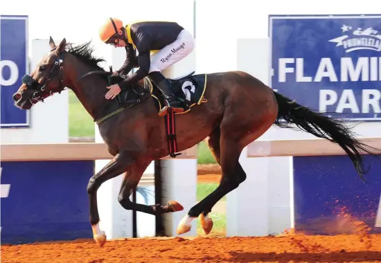  ?? Picture: JC Photograph­ics ?? PIERE’S PICK. Piere Strydom has selected Roquebrune to win the Betting World Sprint over 1000m at Flamingo Park today.