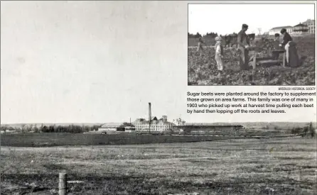  ?? WATERLOO HISTORICAL SOCIETY ?? Looking from Lancaster Street between Berlin and Bridgeport in 1902-1923, this is the sugar beet property. In 2017, homes and businesses on Ash, Birch and Maple streets fill the foreground acreage.