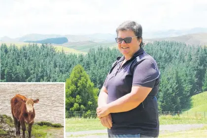  ?? Photo / NZME. ?? Sally Dryland planted a quarter of her farm in trees.
New Zealand’s efforts to prevent climate change have not been good enough, so far.