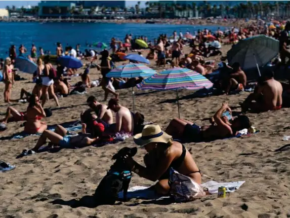  ?? (Reuters) ?? Sunbathers pack onto Barcelonet­a beach in Catalonia