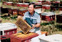  ?? AFP ?? The owner of bee farmer cafe and education centre, Huang Tungming displaying a hive at a bee farm in Yilan. —
