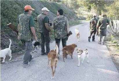  ?? Foto: Ángel García ?? Die Jäger fühlen sich von Valencias Landesregi­erung schlecht behandelt.