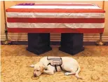  ?? EVAN SISLEY/OFFICE OF GEORGE H.W. BUSH ?? Sully, former President George H.W. Bush’s service dog, lies in front of his casket in Houston on Sunday. The 41st president died Friday.