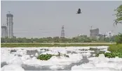  ?? — PTI ?? Toxic foams float in polluted Yamuna river on World Environmen­t Day in New Delhi on Saturday.