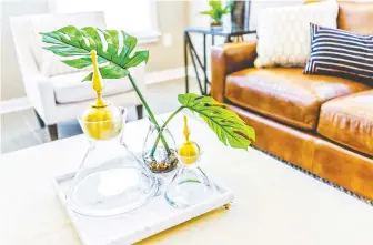  ??  ?? Justina Blakeney loves to use plants and funky containers to bring joy to a neutral-coloured room.