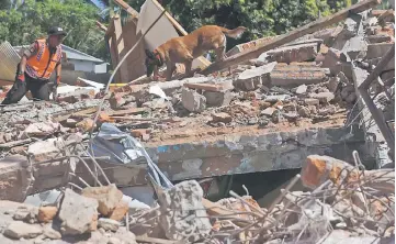  ?? —Reuters photos ?? An Indonesian policeman and his dog search for victims inside a collapsed building in Pemenang, North Lombok, Indonesia.