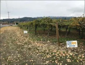  ?? ANDREW SELSKY — THE ASSOCIATED PRESS ?? Signs in a farm field outside Independen­ce, Ore., urge voters to say “no” to a ballot measure aimed at repealing a 1987 law that made Oregon the first sanctuary state in America.