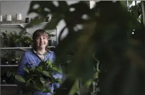  ?? (TNS/Chicago Tribune/Abel Uribe) ?? Lynn Fosbender, owner of Rooted, a houseplant shop in Chicago, holds a Maranta prayer plant, which is relatively easy to grow indoors.