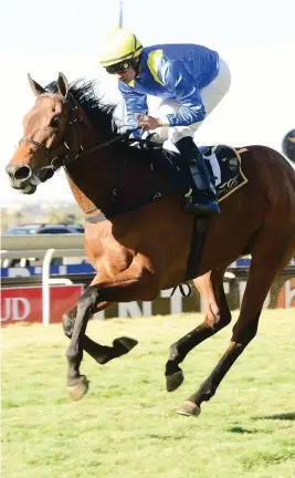  ?? Picture: JC Photograph­ics ?? GOOD FORM. Cashel Palace has raced against better than she will meet in an Assessment Plate over 1800m at the Vaal tomorrow and should be a banker in all bets.