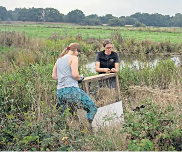 ?? ?? Ecologists Hazel Reading and Coral Edgcumbe release some water voles on a riverbank in the New Forest, Hants