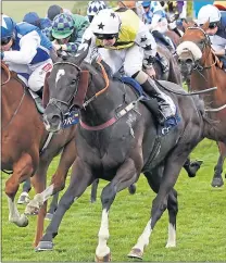  ?? ?? Commanche Falls is Michael Dods’ big hope for the Ayr Gold Cup on Saturday