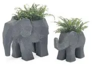  ??  ?? Elephant planter, small, £40, large £70, Next